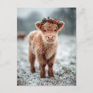 Highland-Kalb im Schnee mit festlichem Kranz Postkarte