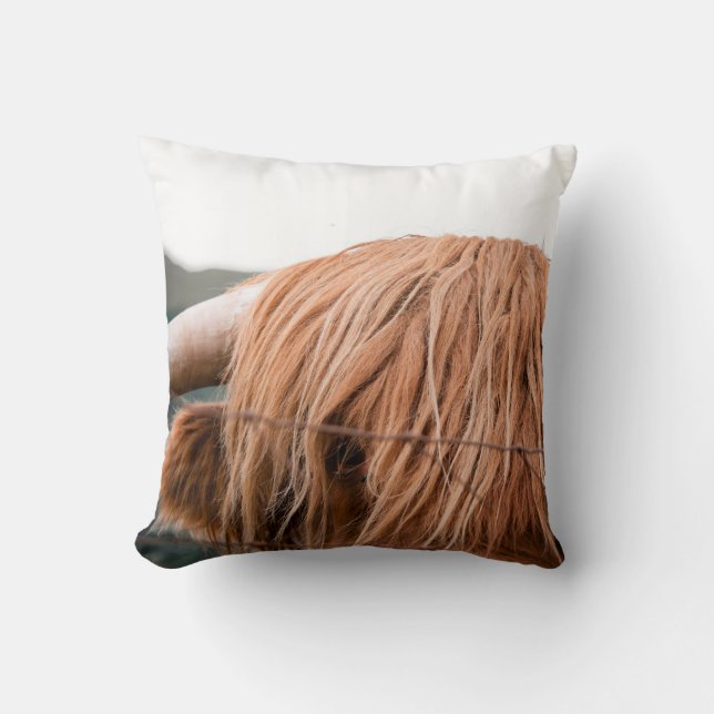 HIGHLAND KING KISSEN (Vorderseite)