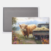Highland-Kuh frisst Heu Magnet (Vorderseite/Rückseite)