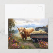 Highland-Kuh frisst Heu Postkarte (Vorne/Hinten)
