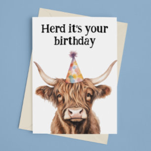 Highland-Kuh-Herde Alles Gute zum Geburtstag  Karte