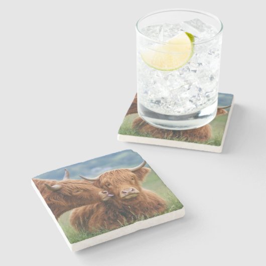 Highland-Kuh-Kuss Steinuntersetzer (Seitenansicht)