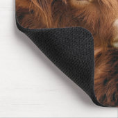 Highland-Kuh küsst Kuh Mousepad (Ecke)