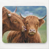 Highland-Kuh küsst Kuh Mousepad (Vorne)