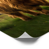 Highland-Kuh liebt dich Poster (Ecke)