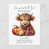 Highland Kuh neue Adresse wir bewegt Herbst bewege Ankündigungspostkarte (Vorderseite)