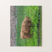 Highland-Kuh-Puzzle Puzzle (Vertikal)