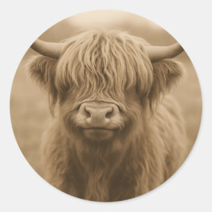 Highland-Kuh-Sepia-Porträt Runder Aufkleber