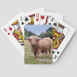 Highland-Kuh-Spielkarten Spielkarten