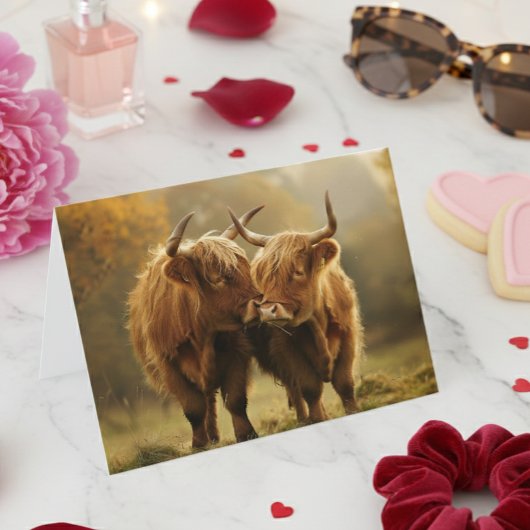Highland Kühe in Liebe Postkarte