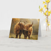 Highland Kühe in Liebe Postkarte (Gelbe Blume)