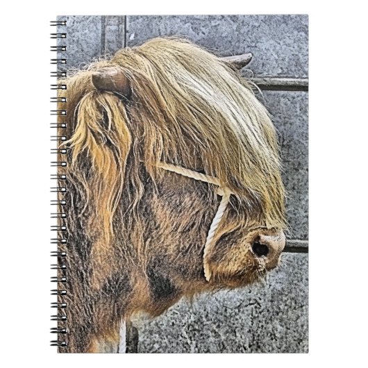 HIGHLAND NOTIZBLOCK (Vorderseite)