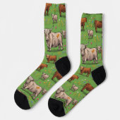 Highland ow S Socken (Linkes Detail)