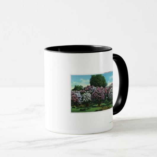 Highland Park Lilacs in Bloom Tasse (VorderseiteRechts)