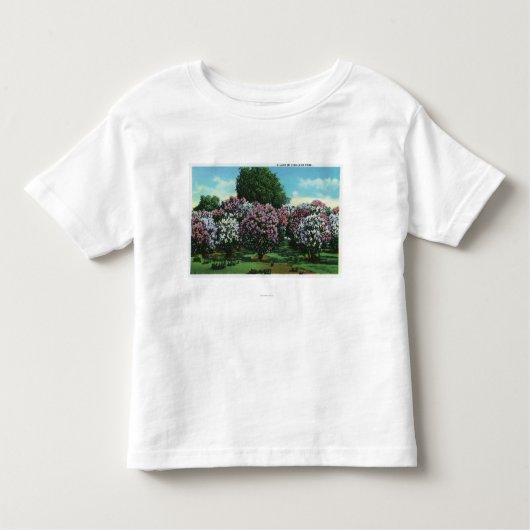 Highland- Parkfliedern in der Blüte Kleinkind T-shirt (Vorderseite)
