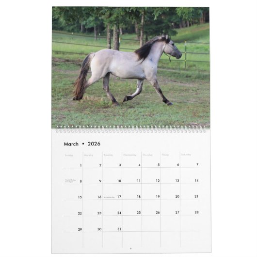 Highland Pony Calendar 2023 Kalender (Mär 2026)