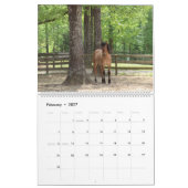Highland Pony Calendar 2023 Kalender (Feb 2027)