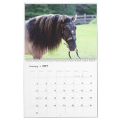 Highland Pony Calendar 2023 Kalender (Jan 2027)