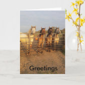 Highland Pony Greetings Karte (Gelbe Blume)