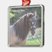 Highland Pony Ornament (Links)