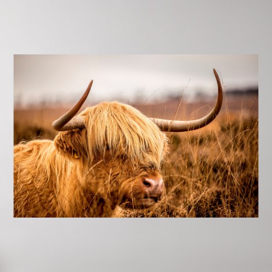 HIGHLAND POSTER (Vorne)