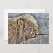 HIGHLAND POSTKARTE (Vorne/Hinten)