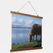 Highland-Rind auf der Küste Wandteppich Mit Holzrahmen (Gewinkelt)