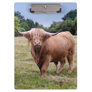 Highland-Rind Clipboard Klemmbrett