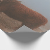 HIGHLAND-RIND GESCHENKPAPIER (Ecke)