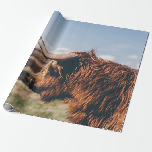 HIGHLAND-RIND GESCHENKPAPIER (Ungerollt)