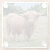 Highland-Rind Glasuntersetzer (Rückseite)