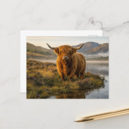 Highland-Rind Schottische Highlands Nebliger Loch  Postkarte