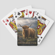Highland-Rind Schottische Highlands TIERRE Poker