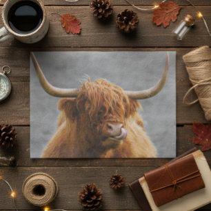 Highland-Rind Schottland rustikal Schwarz Weiß Seidenpapier
