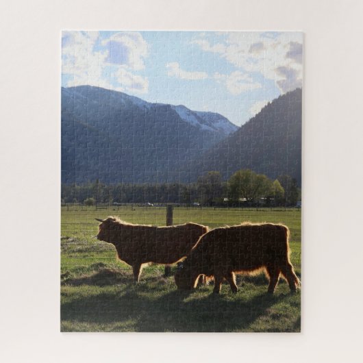 Highland-Rinder in Montana Puzzle (Vertikal)