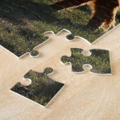 Highland-Rinder in Montana Puzzle (Seite)