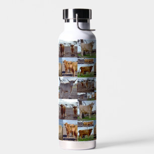 Highland Ruhm: Eine Fotocollage majestätischer Küh Trinkflasche
