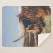 HIGHLAND SHERPADECKE (Vorderseite (Horizontal))