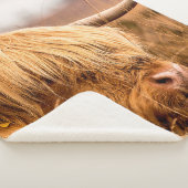 HIGHLAND SHERPADECKE (3/4)