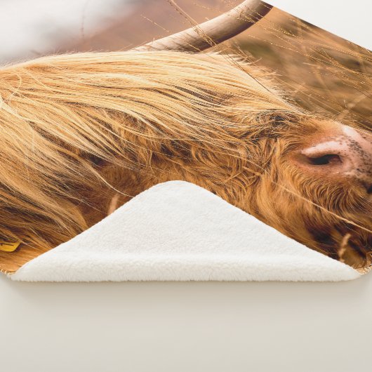 HIGHLAND SHERPADECKE (3/4)