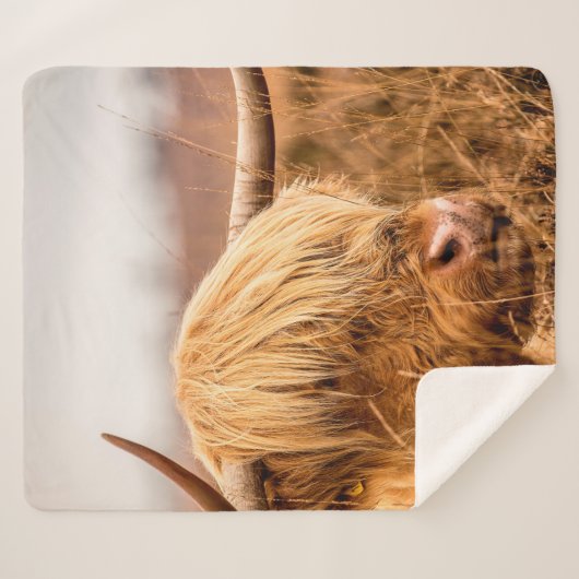 HIGHLAND SHERPADECKE (Vorderseite (Horizontal))