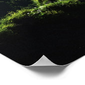 Highland Spring Poster (Ecke)