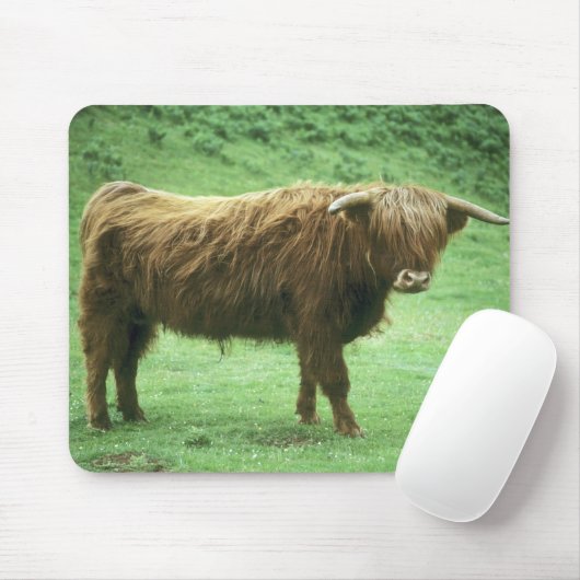 Highland Steer, Insel Mull, Innere Mousepad (Mit Mouse)