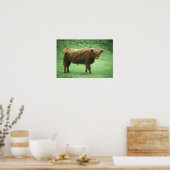 Highland Steer, Insel Mull, Innere Poster (Küche)