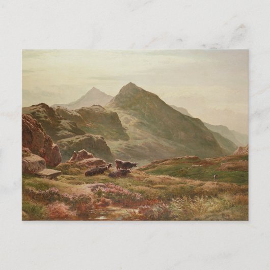 Highland-Szene Postkarte (Vorderseite)