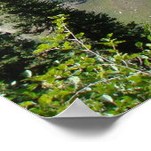 Highline Trail - Glacier Nationalpark Montana Poster (Ecke)