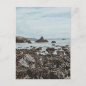 Highway 1 Rocky Beach Postkarte (Vorderseite)