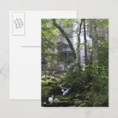 Hiker bewundert die Falls Branch Falls Postkarte (Vorne/Hinten)