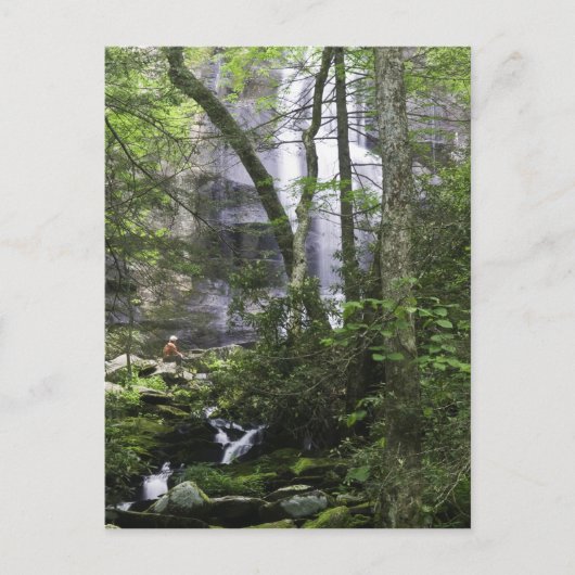 Hiker bewundert die Falls Branch Falls Postkarte (Vorderseite)