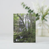 Hiker bewundert die Falls Branch Falls Postkarte (Stehend Vorderseite)